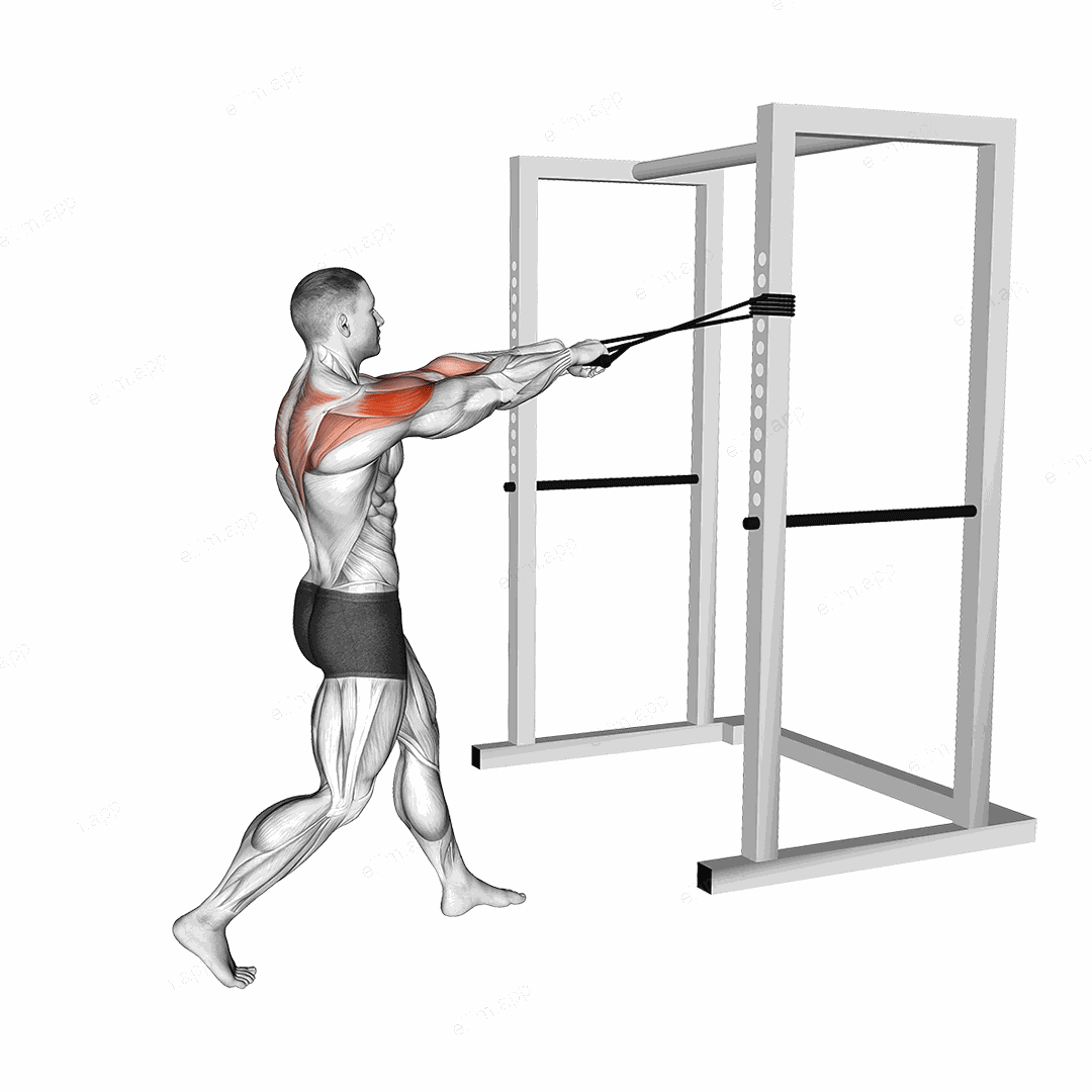 Band Face Pull exercise targeting Shoulders and Deltoid Posterior
