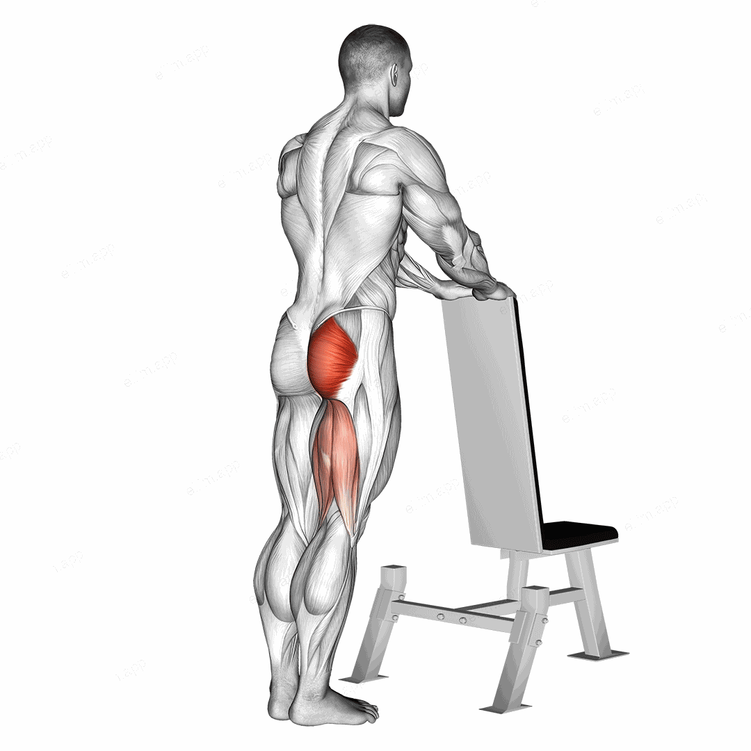 One leg kickback (with bench support) exercise targeting Hips and Gluteus Maximus
