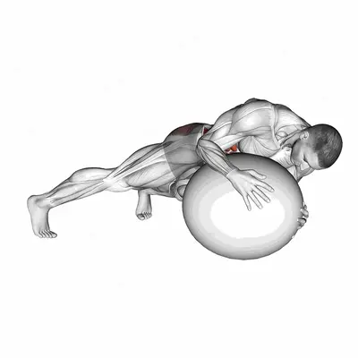 Prone Twist On Stability Ball exercise targeting Waist