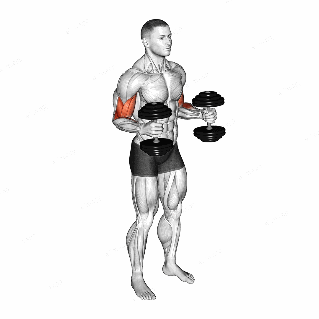 Dumbbell Bent Arm Iso Hold exercise targeting Upper Arms