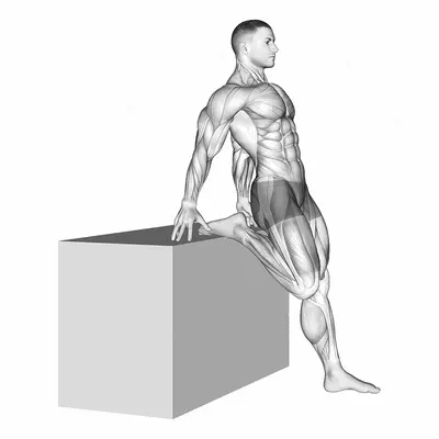 Supported One Leg Standing Hip Flexor And Knee Extensor Stretch exercise targeting Thighs