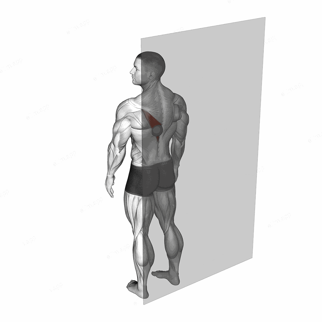 Roll Ball Trapezius Lower exercise targeting Back