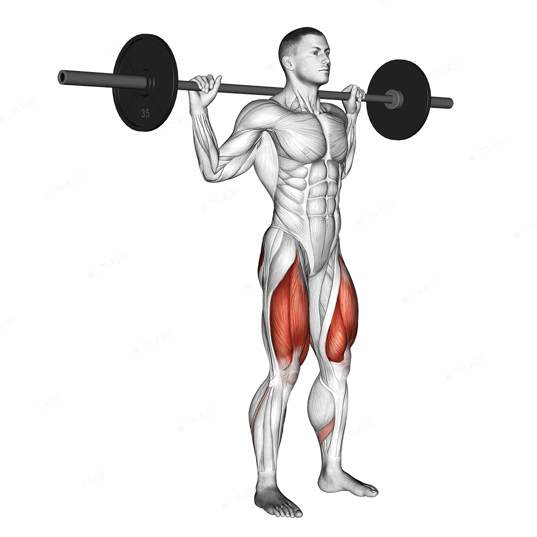 Barbell Narrow Stance Squat exercise targeting Thighs and Gluteus Maximus