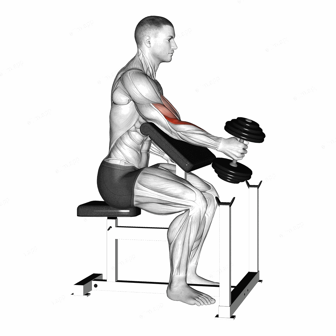 Dumbbell One Arm Hammer Preacher Curl exercise targeting Upper Arms