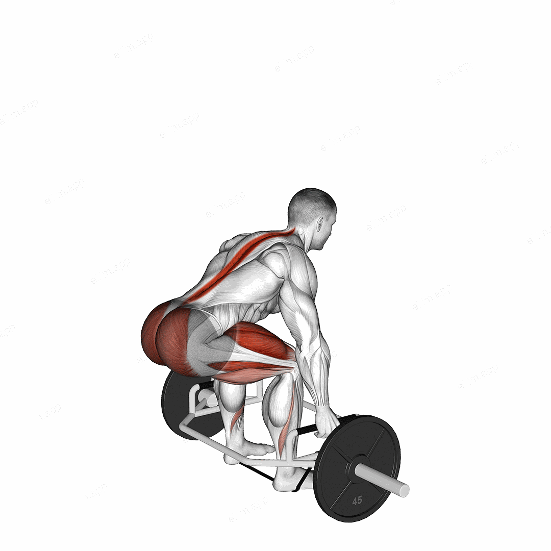 Trap bar Banded Deadlift exercise targeting Hips