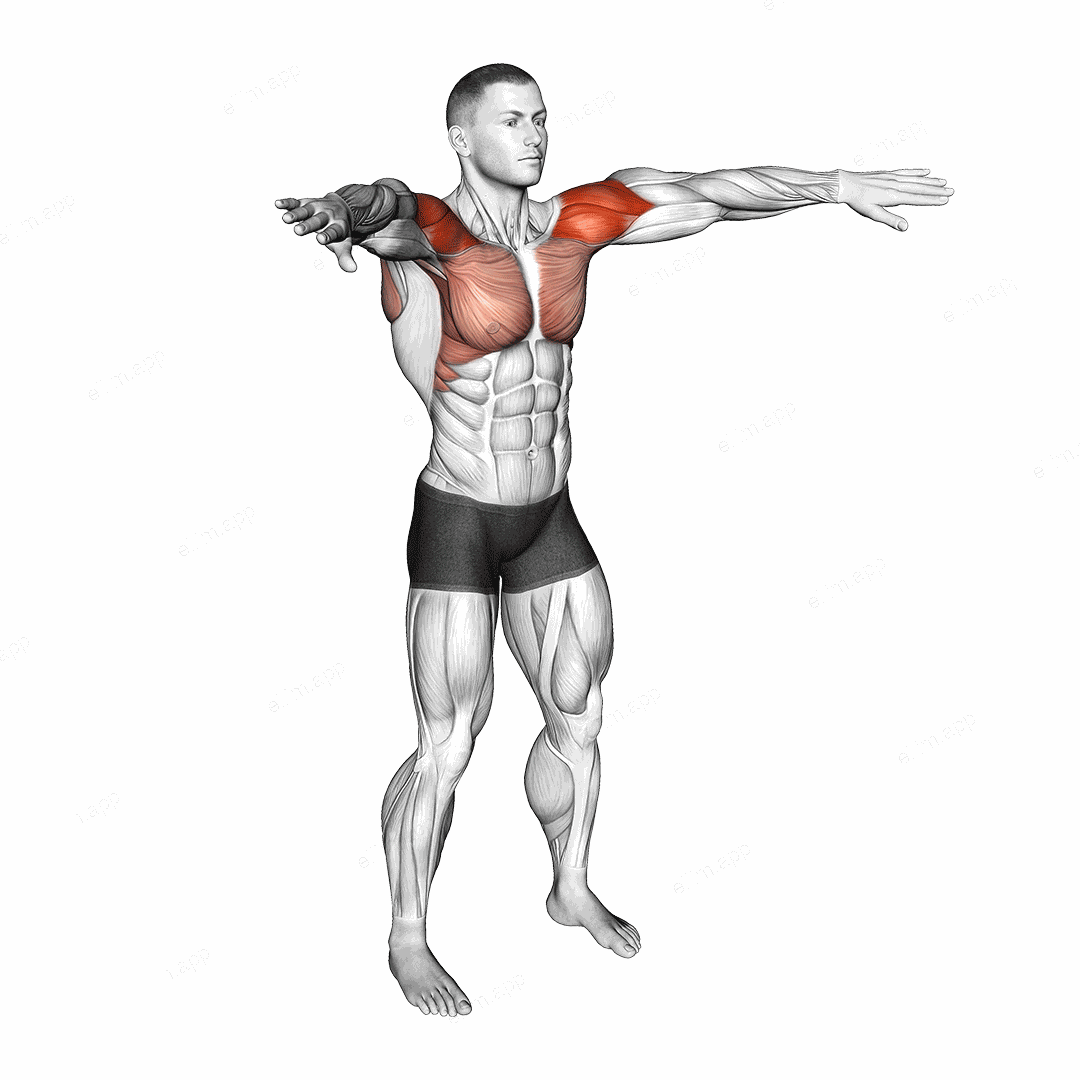 Palm-up Palm-down Rotation exercise targeting Shoulders