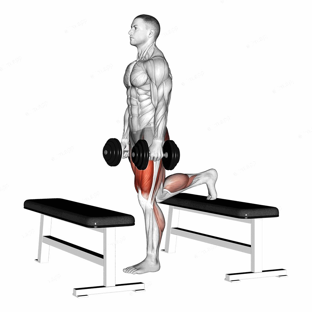 Dumbbell Step up Lunge exercise targeting Thighs