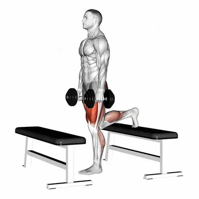 Dumbbell Step up Lunge exercise targeting Thighs
