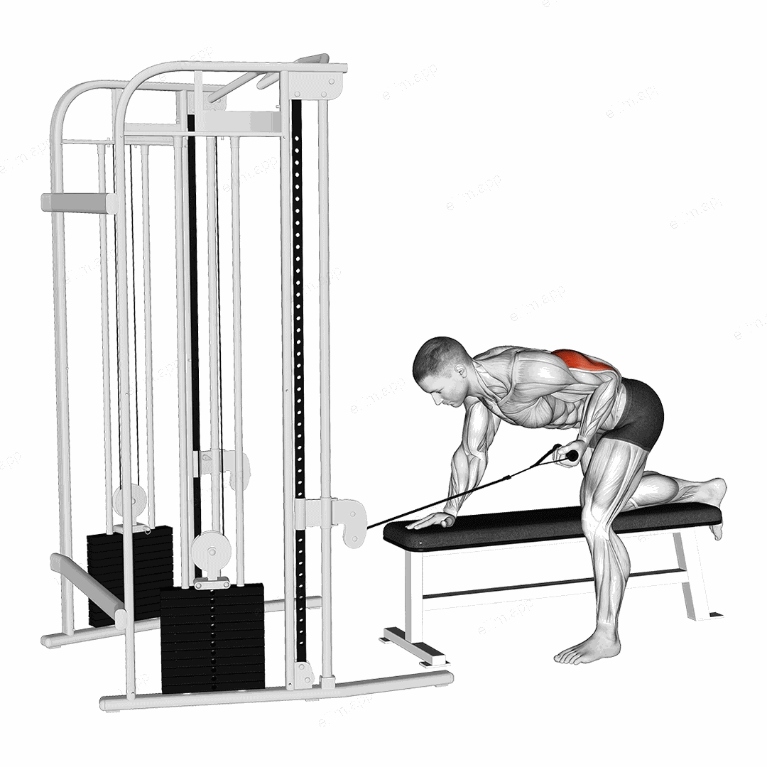 Cable Bent Over Single Arm Kickback exercise targeting Upper Arms