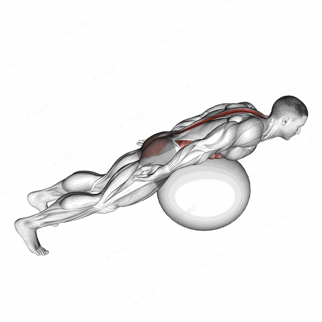 Exercise Ball Back Extension With Rotation exercise targeting Back and Erector Spinae