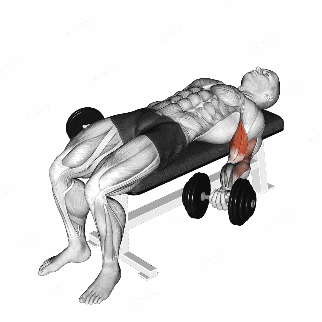 Dumbbell Lying Supine Biceps Curl exercise targeting Upper Arms