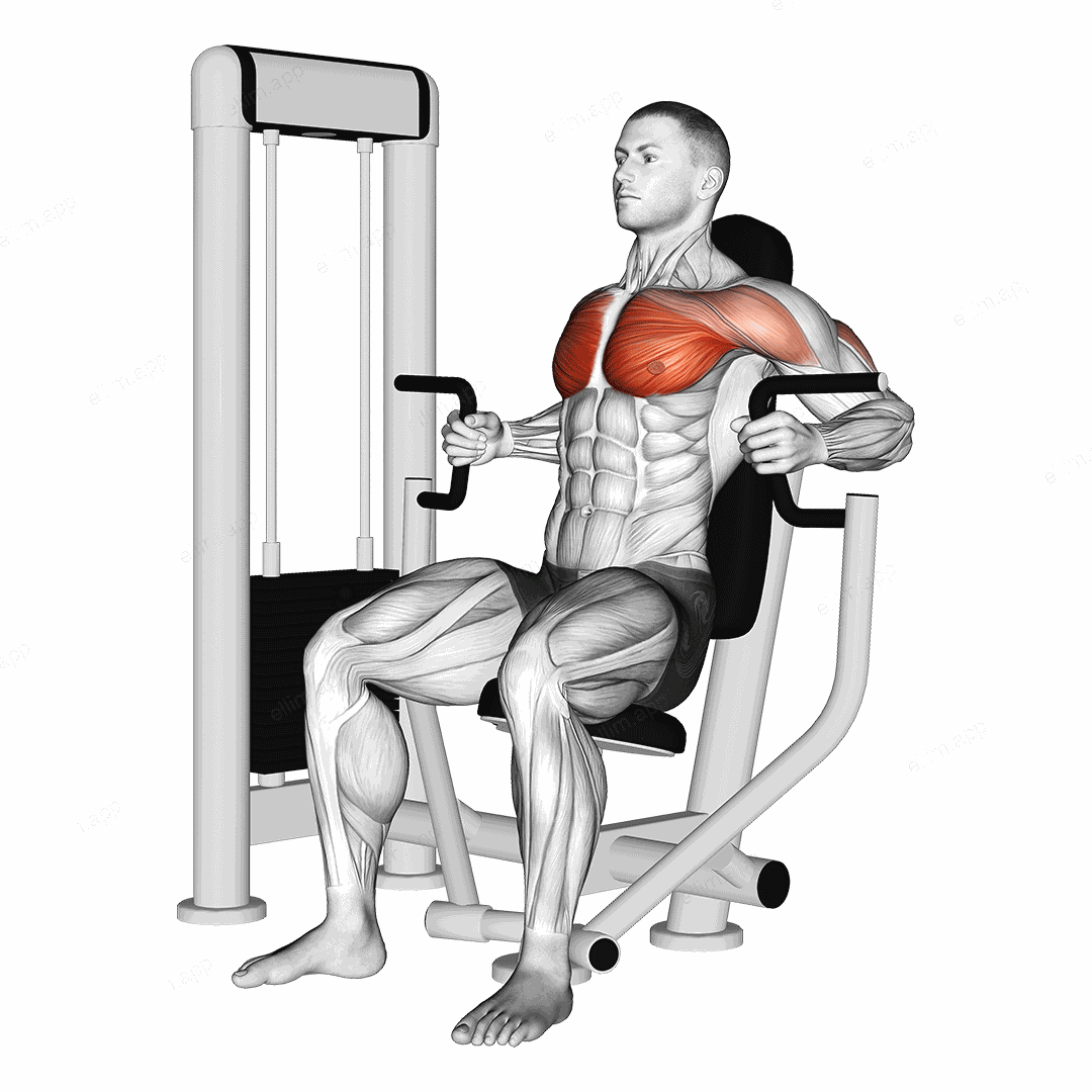 Machine Inner Chest Press exercise targeting Chest and Pectoralis Major Sternal Head