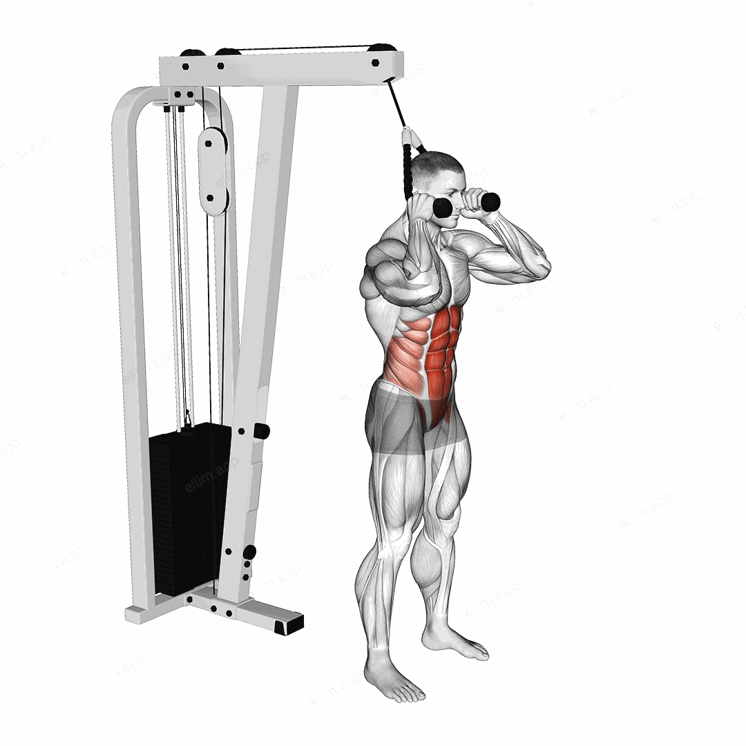 Cable Standing Crunch (with rope attachment) exercise targeting Waist and Rectus Abdominis