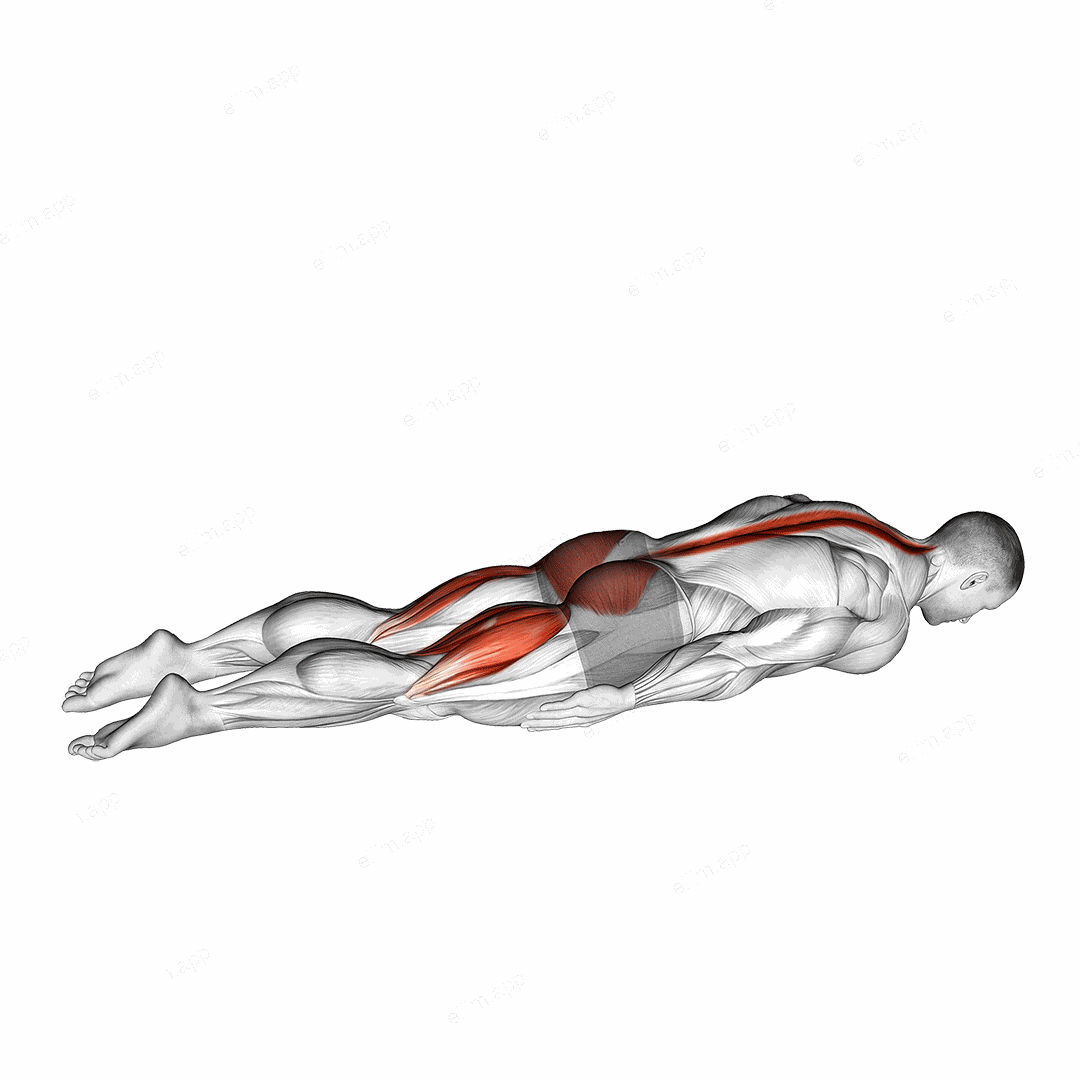 Crocodile Yoga Pose exercise targeting Stretching