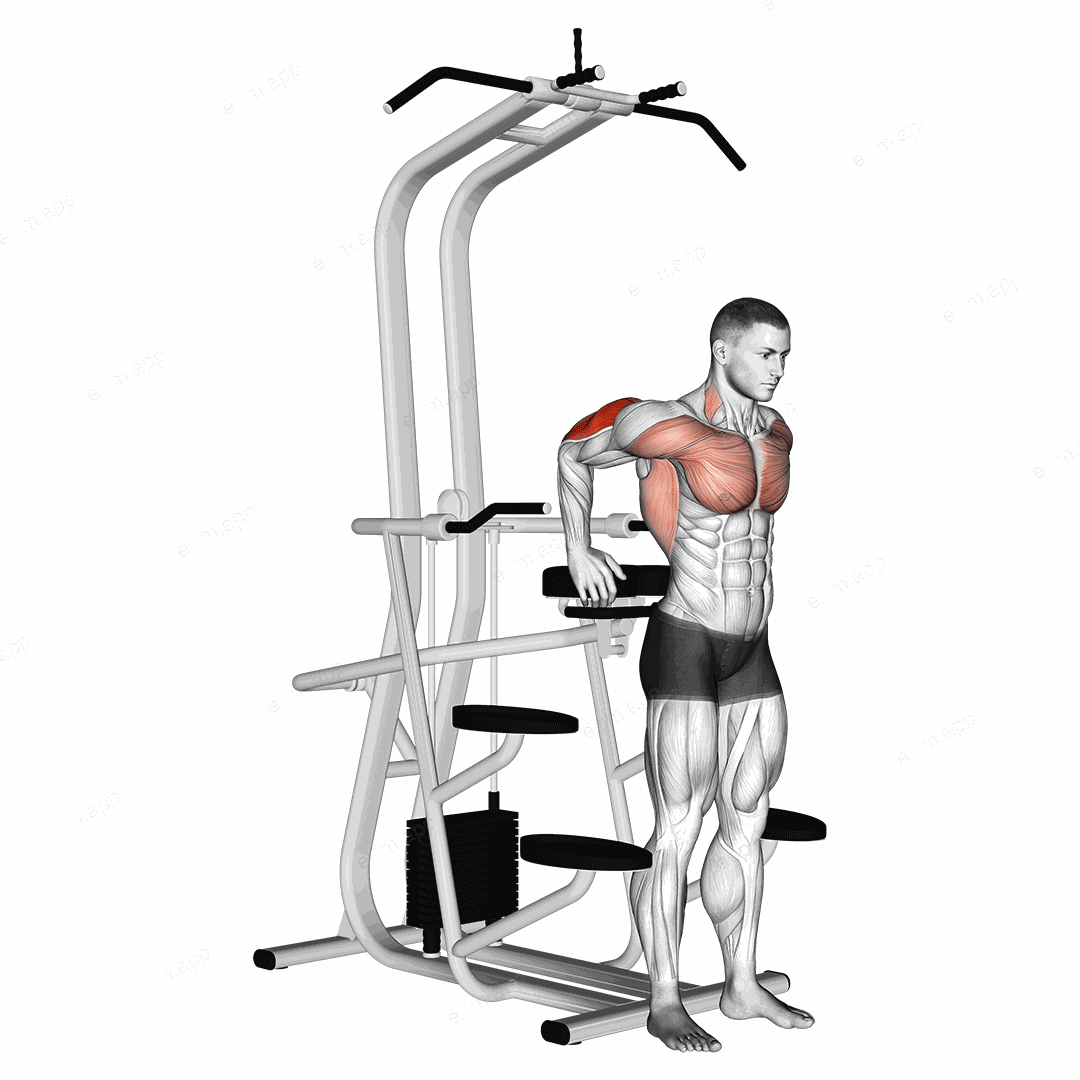 Assisted Standing Triceps Dip exercise targeting Upper Arms and Pectoralis Major Sternal Head