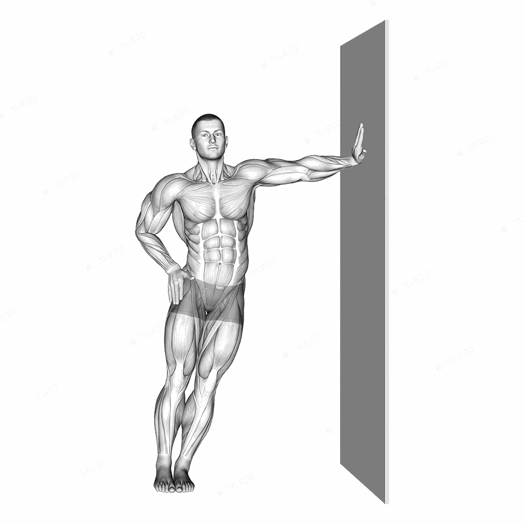 Standing Lower Trunk Lateral Flexor Stretch exercise targeting Back