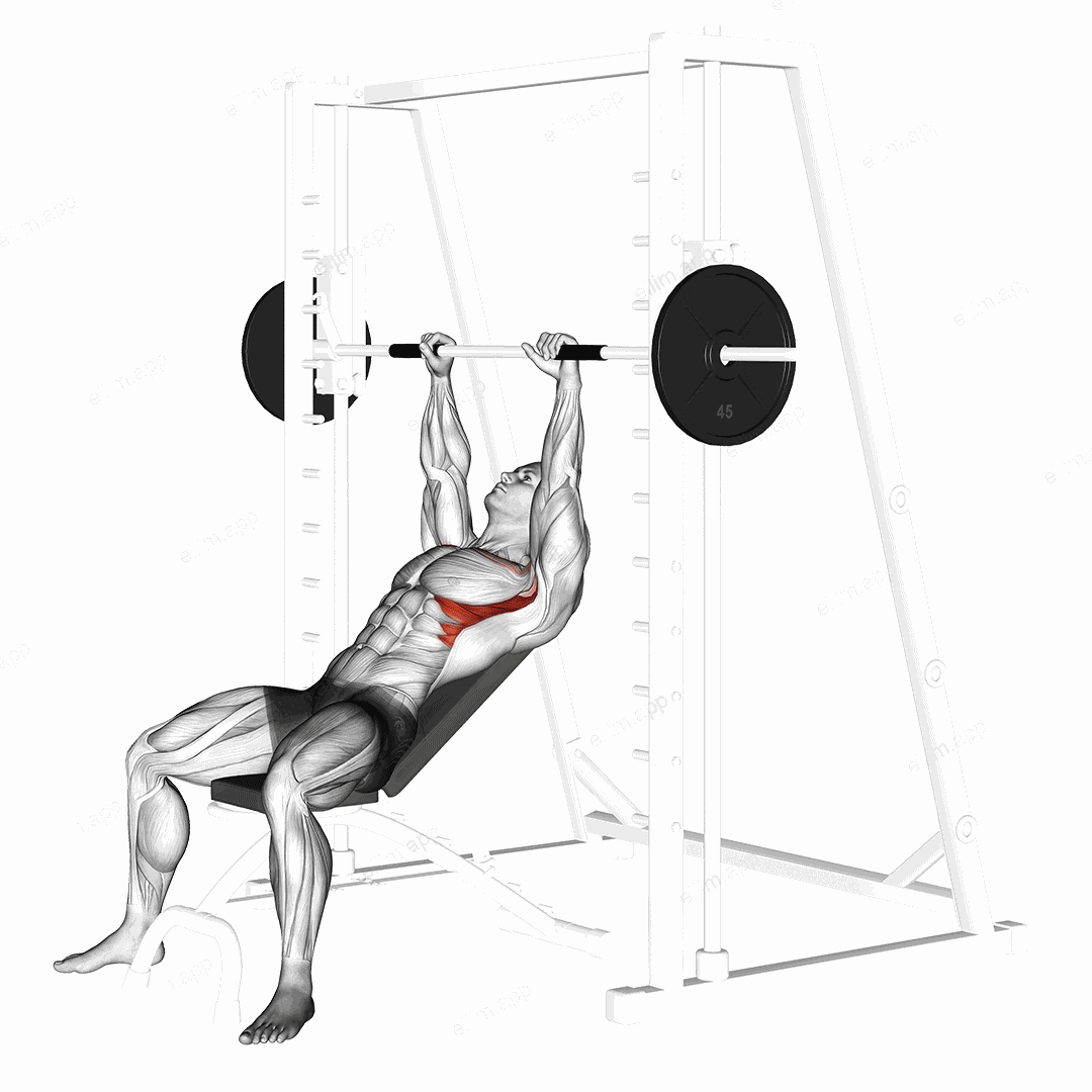 Smith Incline Shoulder Raises exercise targeting Chest and Serratus Anterior