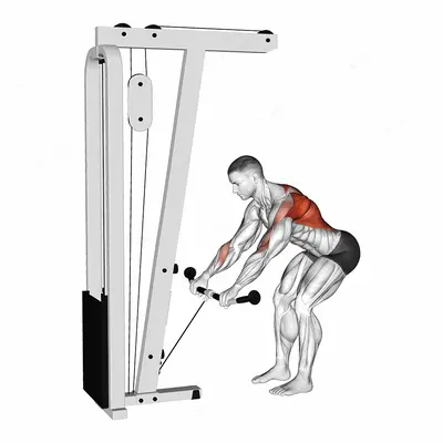 Cable Bent Over Row exercise targeting Back