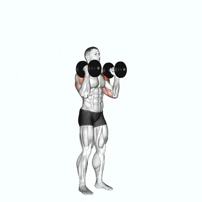 Dumbbell Standing Alternate Overhead Press exercise targeting Shoulders and Deltoid Anterior