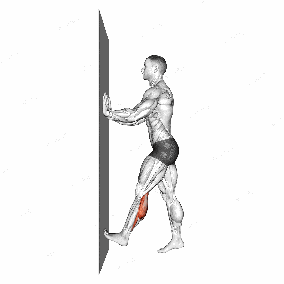 Calf Push Stretch With Hands Against Wall exercise targeting Calves and Gastrocnemius