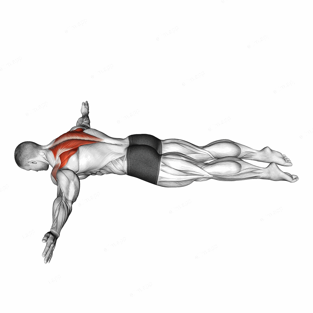Lying Prone T exercise targeting Back