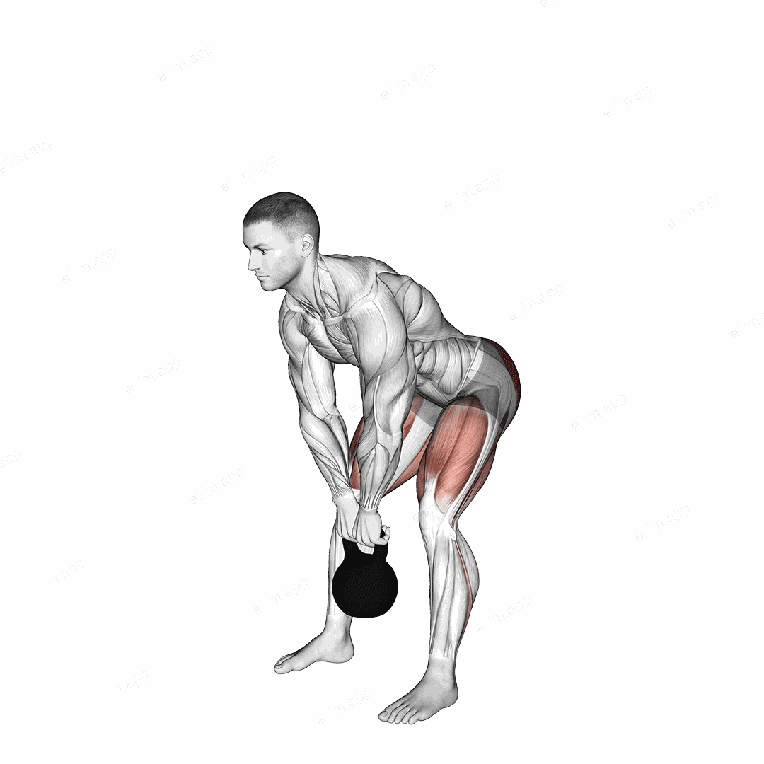 Kettlebell Straight leg Deadlift exercise targeting Hips and Erector Spinae