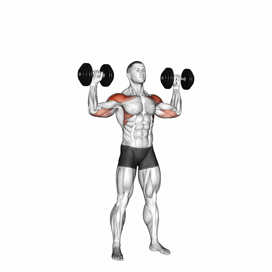 Dumbbell Alternate Shoulder Press exercise targeting Shoulders and Deltoid Anterior