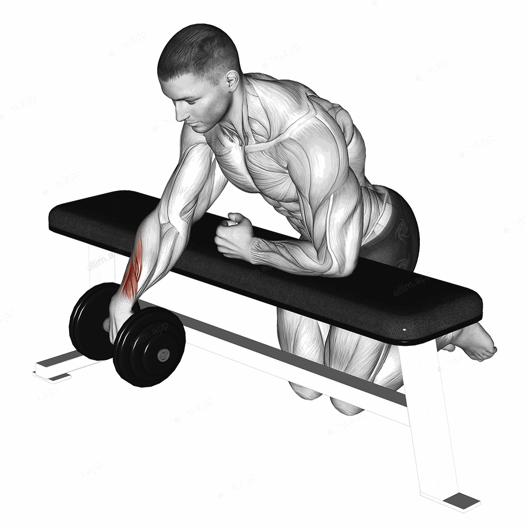 Dumbbell Over Bench One Arm Wrist Curl exercise targeting Forearms and Wrist Extensors