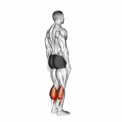 Ankle - Plantar Flexion exercise targeting Calves