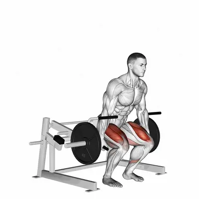 Lever Deadlift (plate loaded) exercise targeting Thighs and Gluteus Maximus