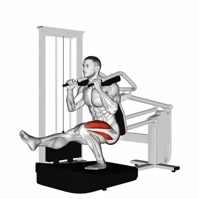 Lever Pistol Squat exercise targeting Thighs and Splenius