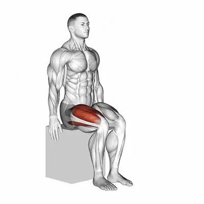 Knee - Extension exercise targeting Thighs