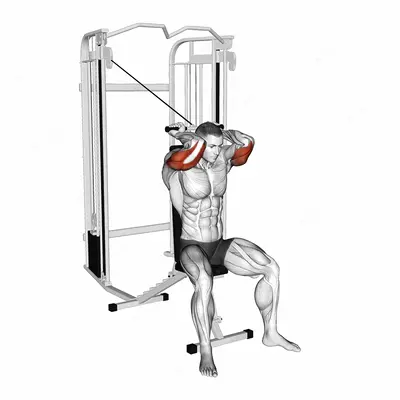 Cable Seated High Pulley Overhead Tricep Extension exercise targeting Upper Arms