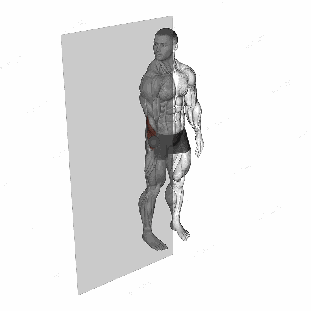 Roll Ball Forearm Extensors exercise targeting Forearms