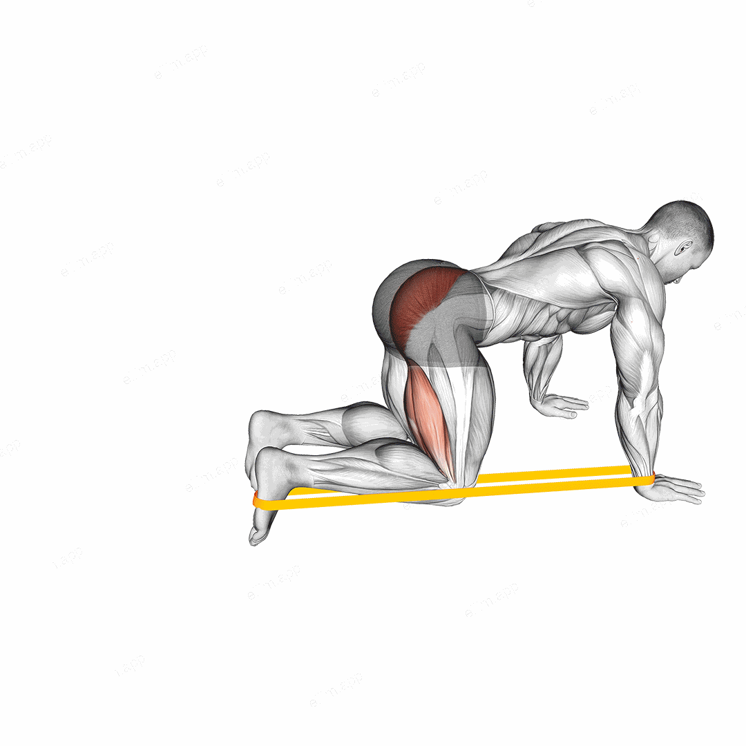 Resistance Band Leg Kickback exercise targeting Hips