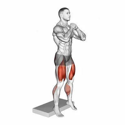 Bodyweight Heel Elevated Squat exercise targeting Thighs