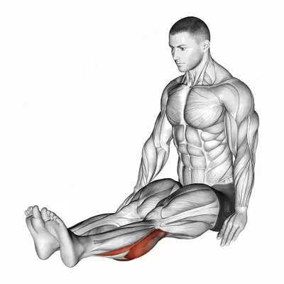 Seated Calf Stretch exercise targeting Calves and Gastrocnemius