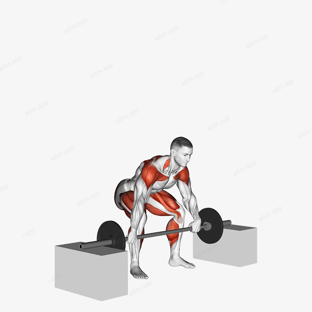 Barbell Power Snatch From Blocks exercise targeting Weightlifting and Adductor Magnus