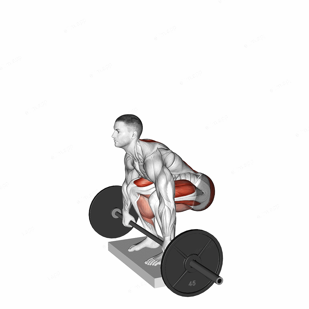 Barbell Deadlift from Deficit exercise targeting Hips