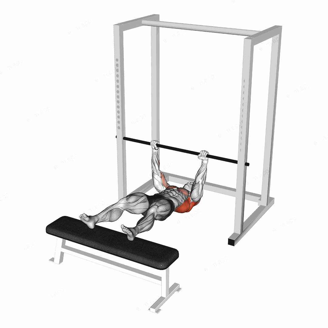 Inverted Row Slide exercise targeting Back