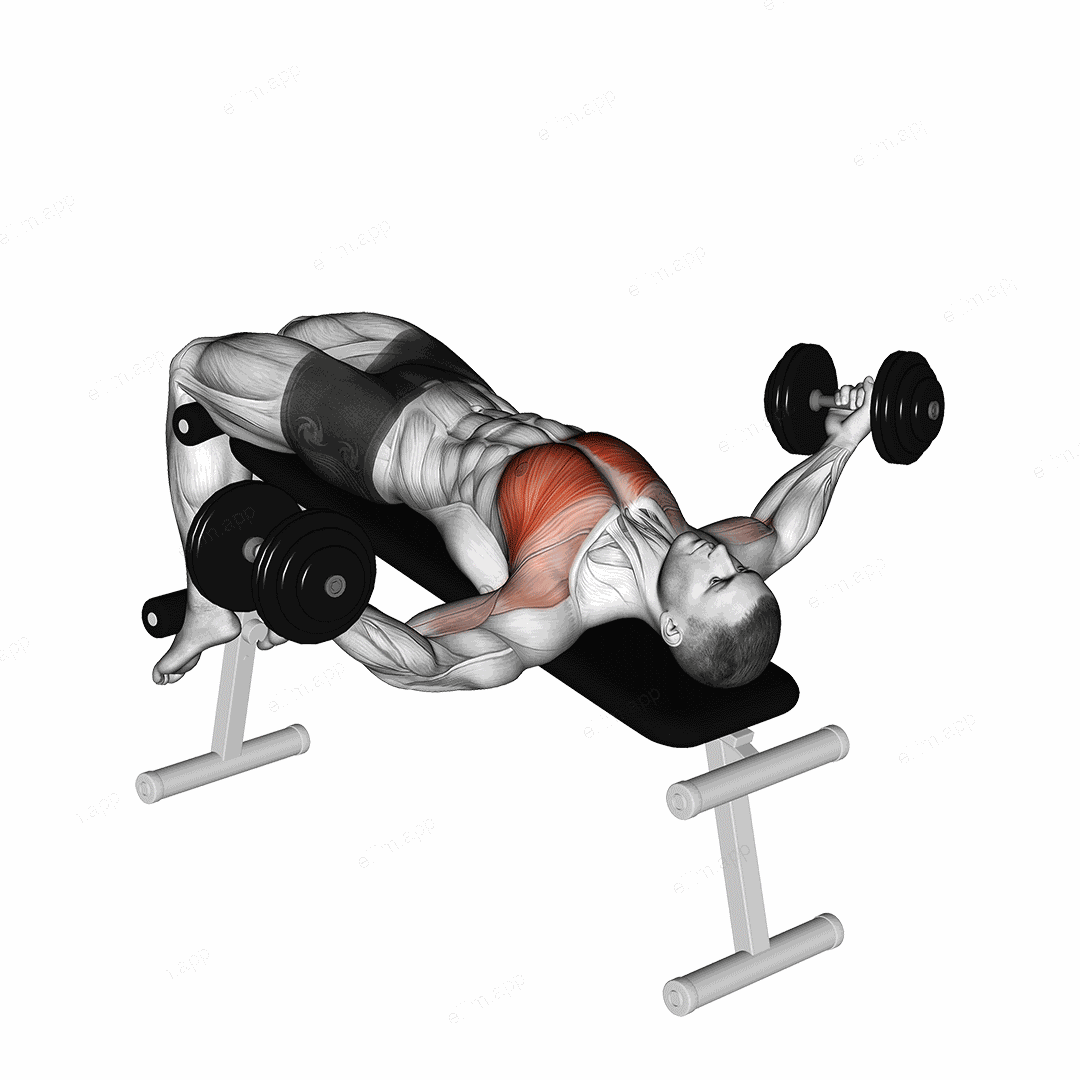 Dumbbell Decline Twist Fly exercise targeting Chest and Pectoralis Major Sternal Head