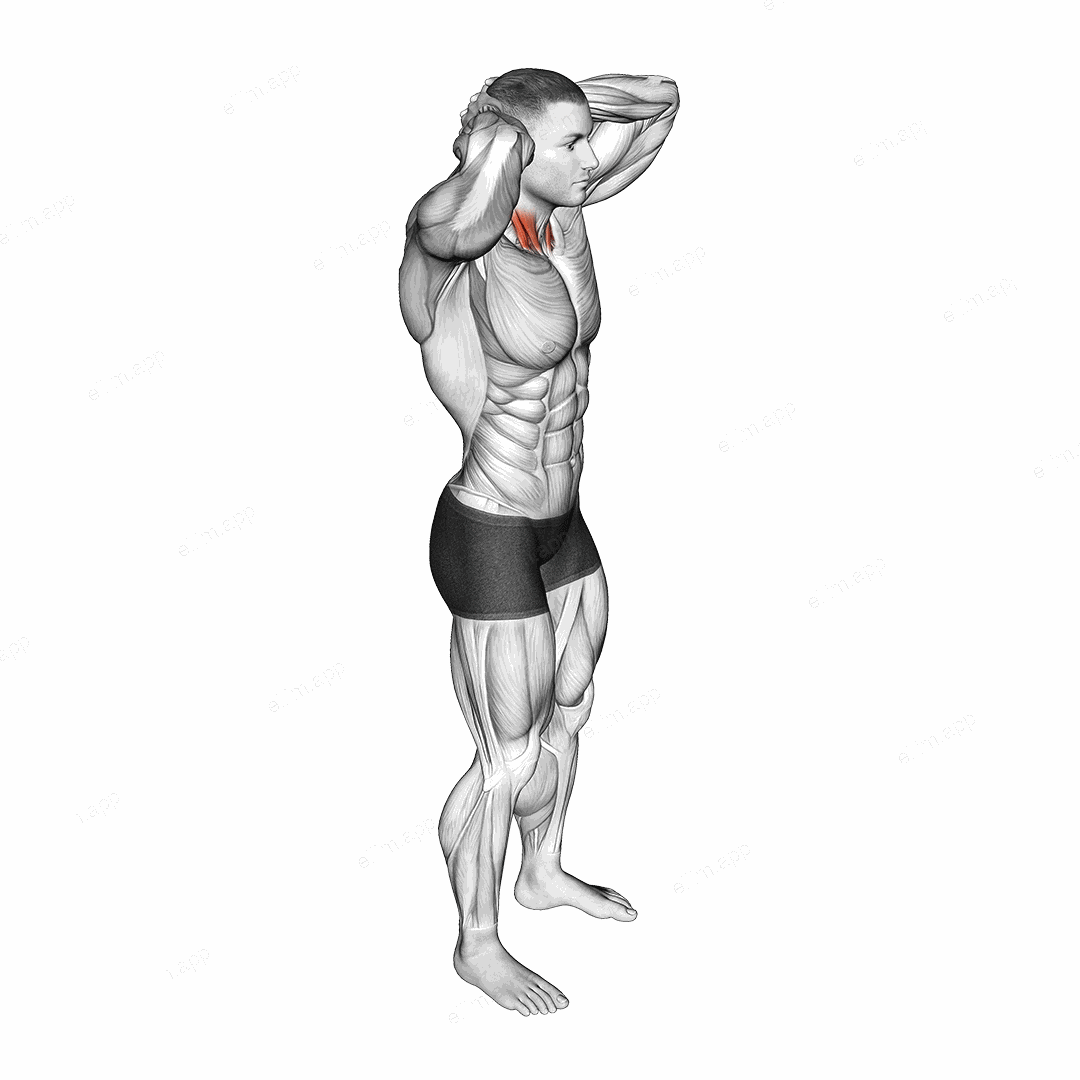 Posterior Neck Isometric exercise targeting Neck and Sternocleidomastoid