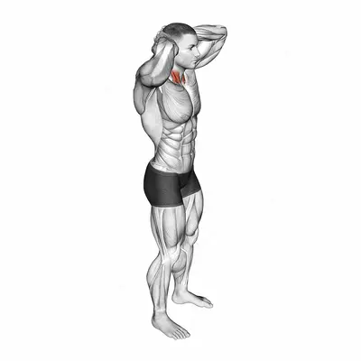 Posterior Neck Isometric exercise targeting Neck and Sternocleidomastoid