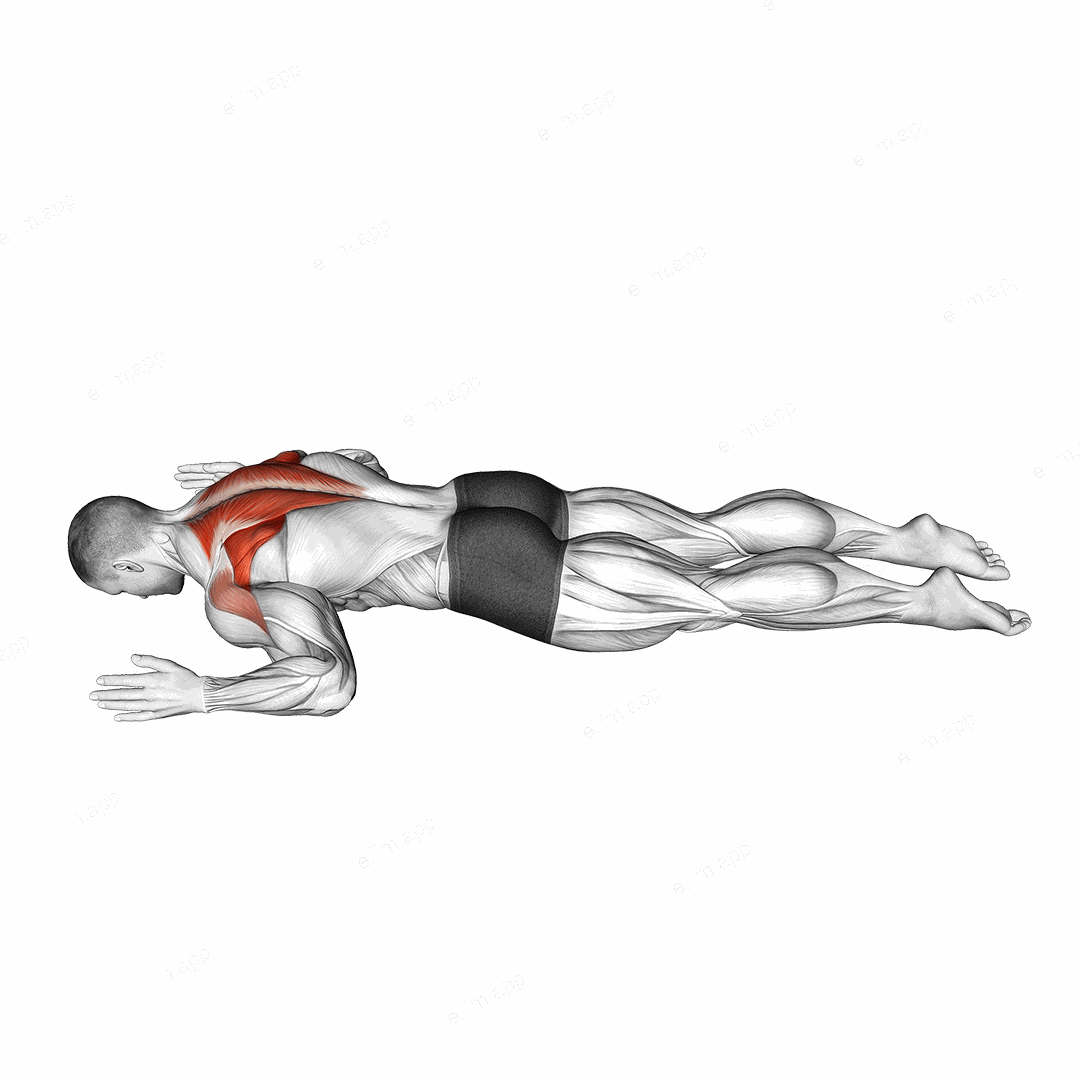 Lying Prone W exercise targeting Back