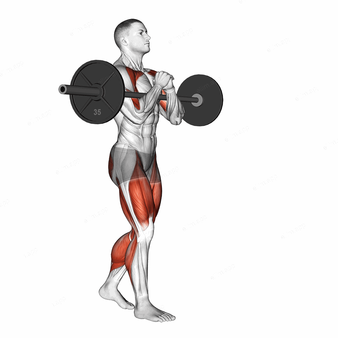 Barbell Zercher Carry exercise targeting Thighs