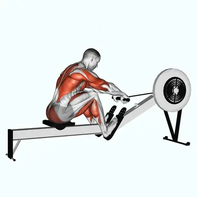 Rowing (with rowing machine) exercise targeting Cardio