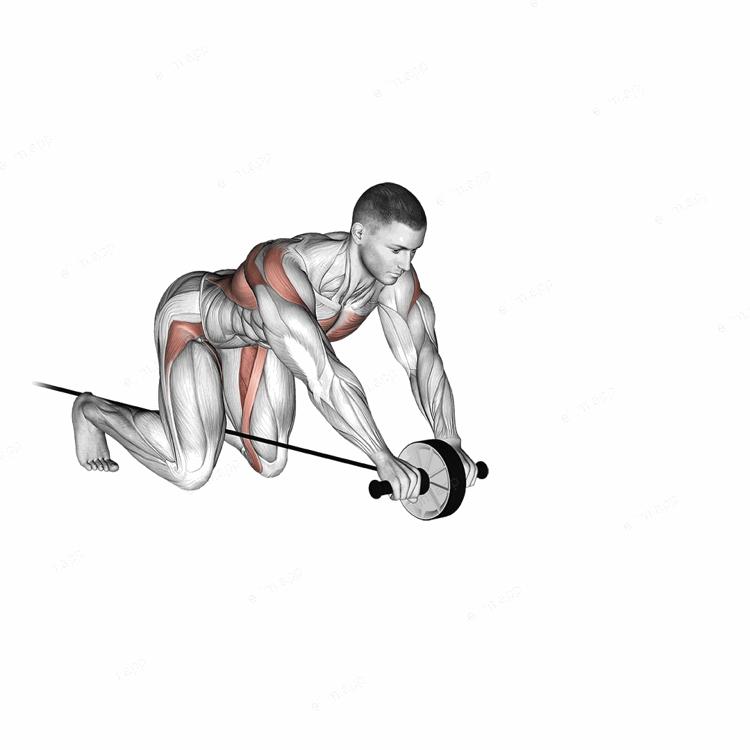 Band Assisted Wheel Rollout exercise targeting Waist and Iliopsoas