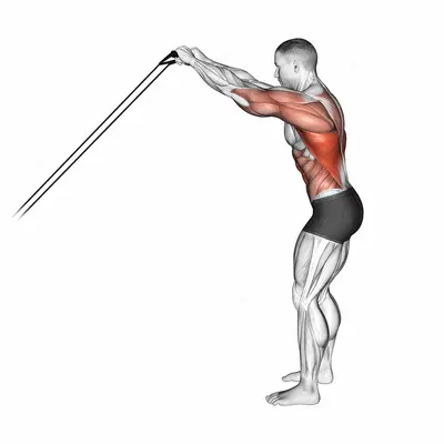 Band Skier exercise targeting Back