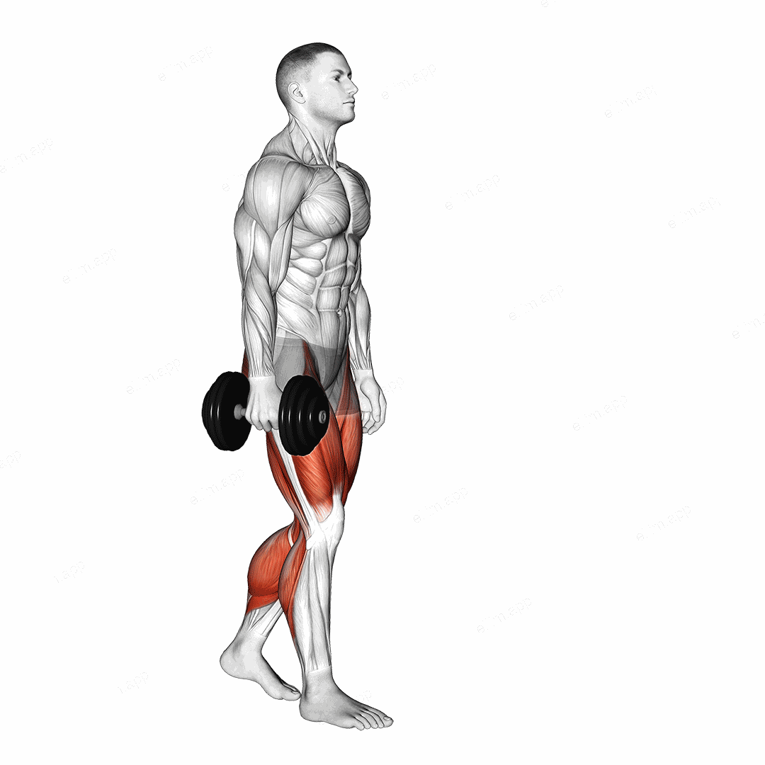Dumbbell Suitcase Carry exercise targeting Thighs