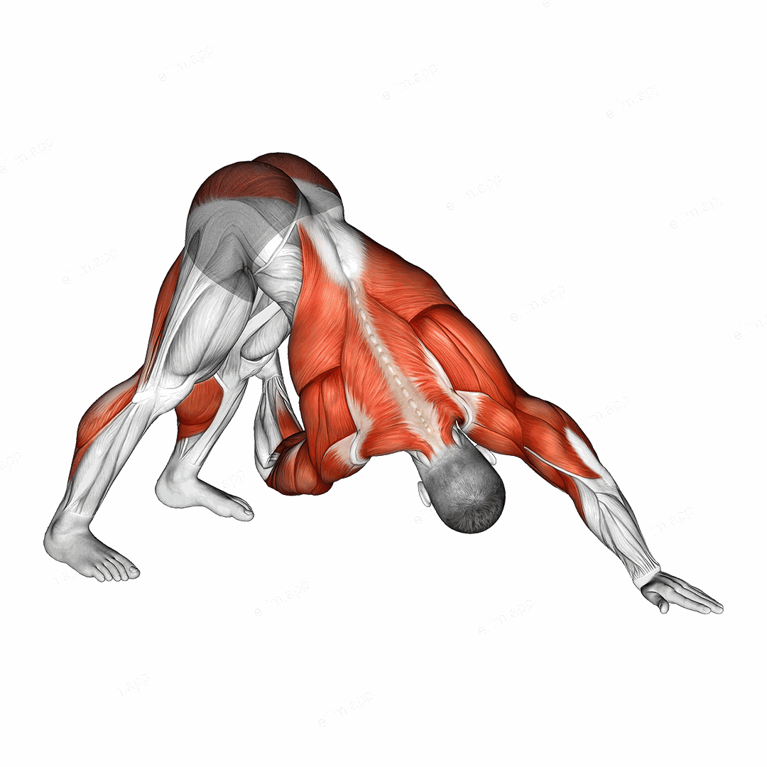 Downward Facing Dog Spine Mobility exercise targeting Back and Hips